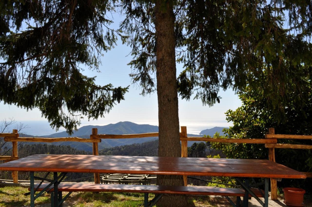 Bed And Breakfast Humus SapiensCastiglione Chiavarese エクステリア 写真