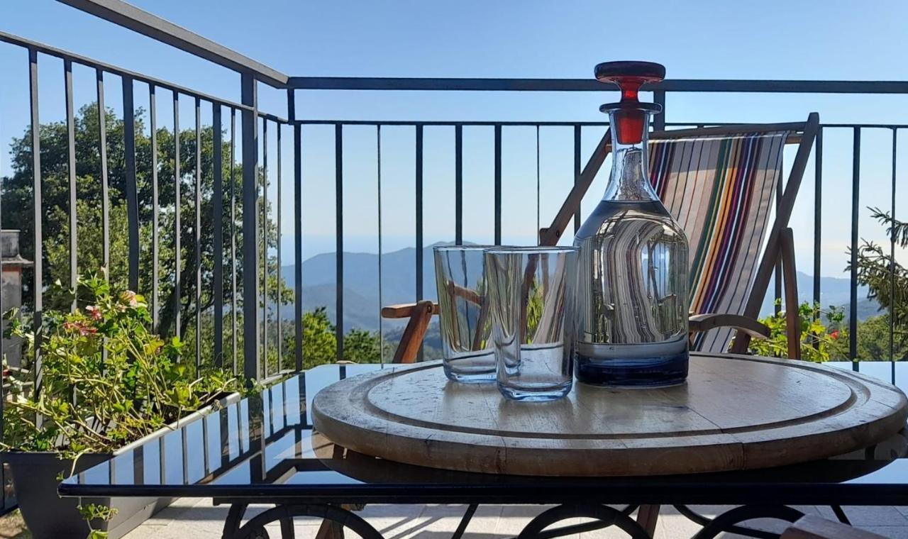 Bed And Breakfast Humus SapiensCastiglione Chiavarese エクステリア 写真